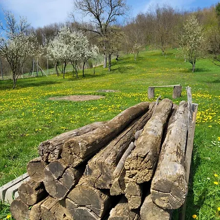 Feriehus Bodonia Vendeghaz
