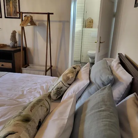 Bodonia Vendeghaz Case de vacanță