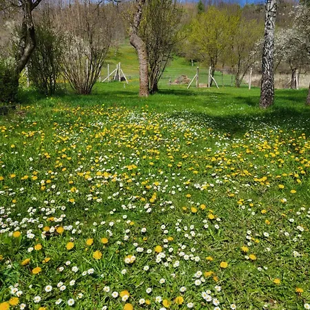 Bodónia Bodony