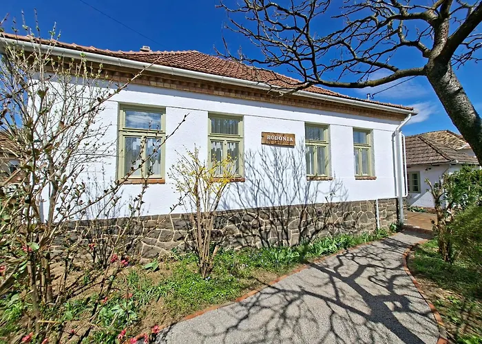 Bodonia Vendeghaz Tatil Evi